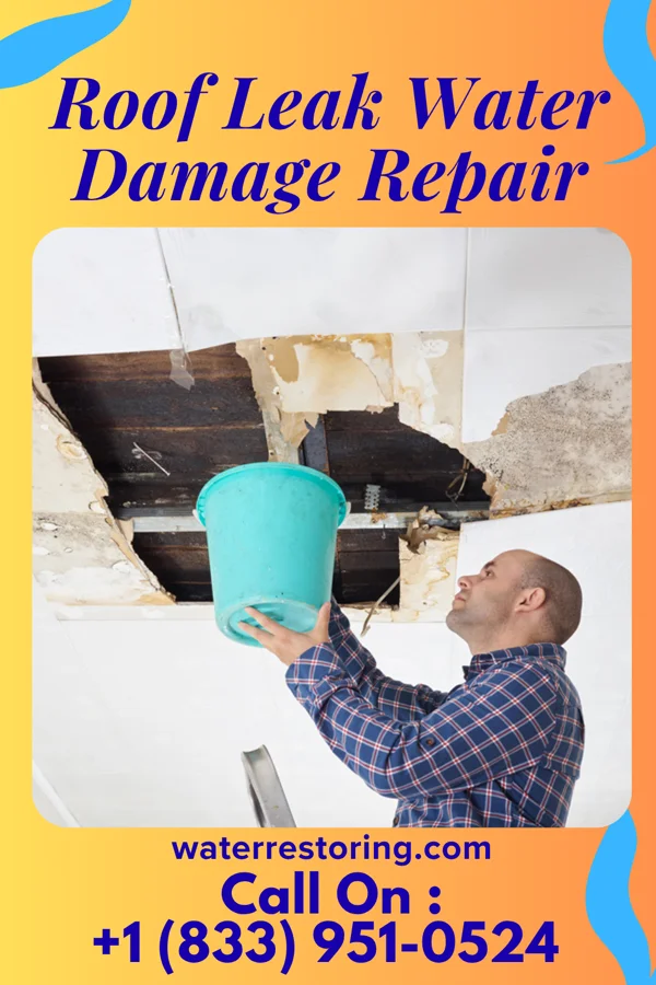 Roof Leak Water Damage Repair in Todd Mission, TX