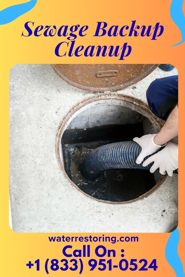 Sewage Backup Cleanup in Todd Mission, TX